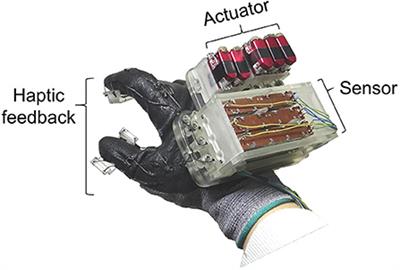 Haptic Glove Using Tendon-Driven Soft Robotic Mechanism